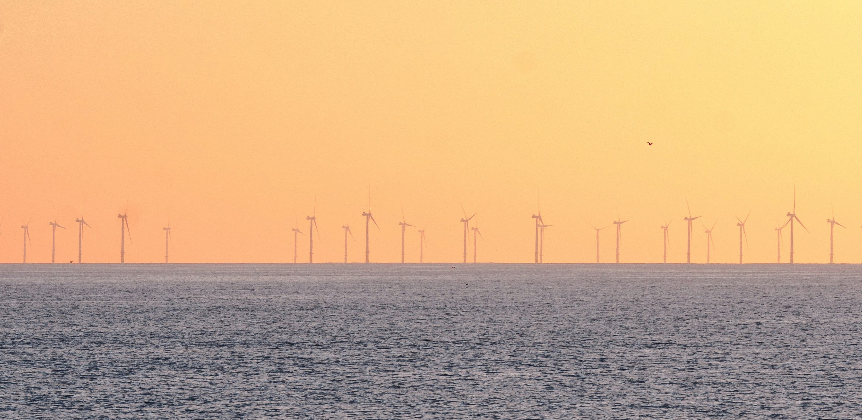 Photo by Theodor Vasile on Unsplash